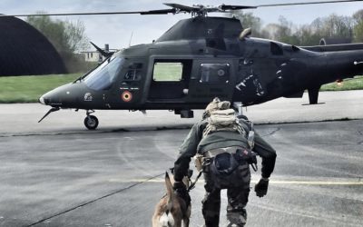 Military Police Working Dog Exercise