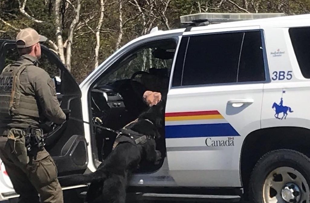 Royal Canadian Mountain Police cyno ops