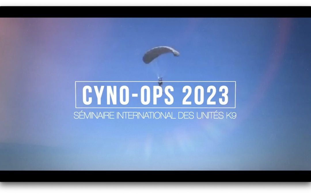 Teaser Séminaire Cyno-Ops 2023
