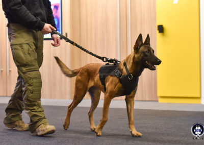 Visiteur avec son chien sur Cyno-Ops