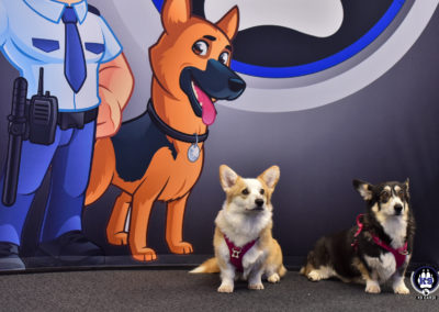 Chiens sur Cyno-Ops