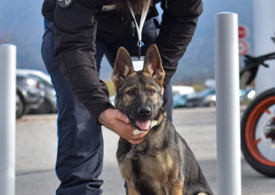 Visiteur avec son chien sur Cyno-Ops