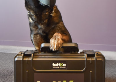 Chien portant une muselière avec la patte sur une valise sur Cyno-Ops