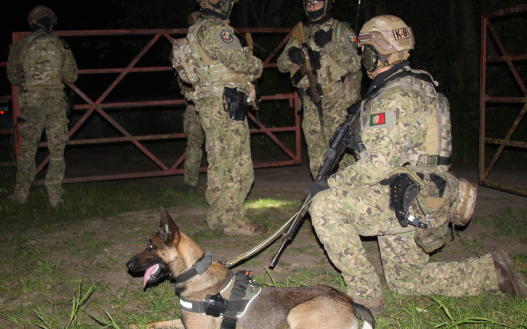 Inside the Portuguese Marine Corps’ Canine Unit